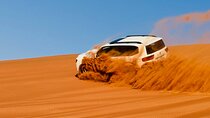 Dubai Desert safari Tour with Live BBQ & Belly Dance Shows