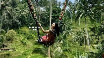 Private Bali Tour Package 10 Days: Adventure, Culture and Luxury 
