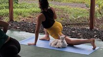 Yoga Class with Goat