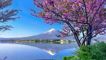Mt fuji & Hakone customizable day tour w/ English speaking driver