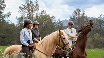 Montserrat Horse Riding and Walking Small Group Tour 