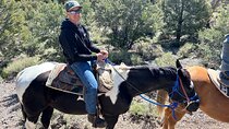 Sunset Horseback Ride With BBQ Dinner Las Vegas