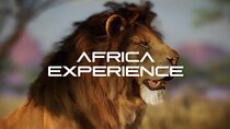 Africa Hologram Adventure at Zoocade