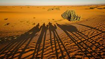 3 Day Sahara Tour to Merzouga from Marrakech