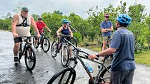 Private Ubud Downhill Cycling with Volcano, Rice Paddies & Meal