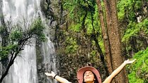 Moshi Half-Day Tour:vWaterfall hike ,Coffee Tour & hot- lunch 