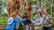Karen Blixen Museum, Giraffe Center, Beads and Bomas of Kenya