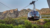 Table Mountain Kirstenbosch and Constantia Tour