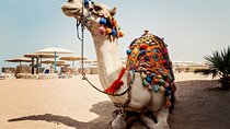 Camel Riding Tour In Hurghada Desert With Transfer