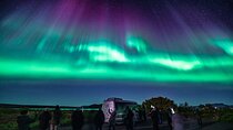 Luxury Northern Lights Hunt Private Tour with Photos and Treats