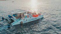 Cabo Catamaran – Snorkeling Tour & Coastal Views