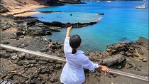 Bartolome Island and Puerto Ayora Yacht Adventure