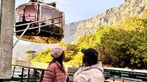  Private Table Mountain, Bo Kaap, Penguins & Cape Point Tour 