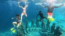 Private Snorkeling Tour of Gili Islands in Air Meno and Trawangan