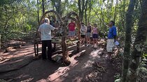 Punta Laguna Adventure with Mayan Ceremony