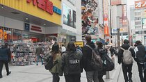 Anime & Manga Lovers Akihabara Tour – Private Tour