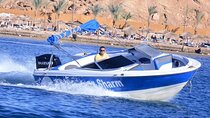 2 Hours Private Speedboat with Hotel Transfer - Sharm El Shaikh