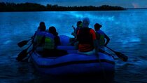 Bioluminescence Rafting Boat Tour Wildlife Refuge