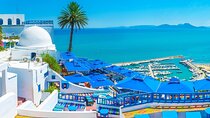 Magic Blue & White Day: Medina, Sidi Bou Said & Carthage Trip