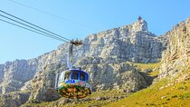 Table Mountain, Cape Point & Penguins Tour – All Fees Included