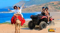 Combo 4x4 Automatic ATV and Camel Ride Tour in Cabo San Lucas