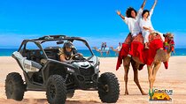 Beach CAN-AM SXS X3 & Camel Ride in Cabo by Cactus Tours Park