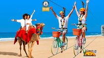 Beach Camel Ride & Sky Bike in Cabo by Cactus Tours Park