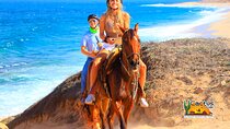 Horseback Riding Beach and Desert in Cabo by Cactus Tours Park