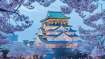 Osaka 8hr Highlights Private Tour with Licensed Guide