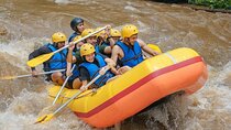 Ubud White Water Rafting on the Ayung River with Pickup & Lunch