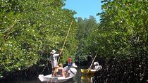 Mangrove Tour Nusa Lembongan Full Day Island Experience
