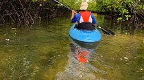 Uzi Island Eco-Kayak Adventure