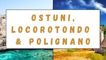 Ostuni, Locorotondo & Polignano: Small Group Tour (max 7 pax)