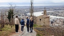 Rhône Valley Wine & Chocolate Tasting Private Day Tour from Lyon