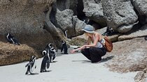 Half-Day Cape Town Tour: Tickets, Fees, Table Mountain & Penguins