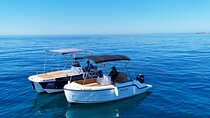 Private boat rental without title dolphin watching