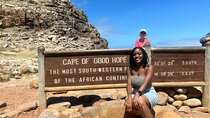 Table Mountain, Penguins & Cape Point Private Tour with Gate Fees
