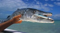 Private Key West Fishing & Sandbar or Snorkel Charter 
