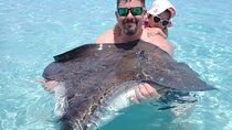 Stingray City Sandbar Experience