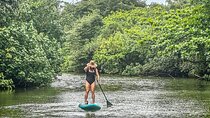 Stand Up Paddle Boarding Adventure in Windward Oahu