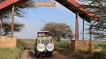 3 Day Group Camping Tour to Serengeti Ngorongoro