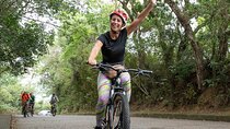 Rio Rainforest Ride An Unforgettable Mountain Bike Tour