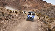 Ultimate Adventure: RZR + Ghost Town + Gold Mine + Games + Lunch