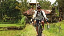 Downhill Cycling Ubud with Volcano, Rice Terrace and Educational