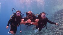 PADI Open Water Course Hurghada–Scuba Diving Center In Hurghada 