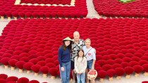 A Perfect Day at Incense Village and Tam Coc, Ninh Binh