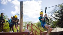 Six Zipline Adventure with Waikiki Transportation