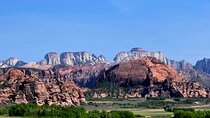 Zion National Park/Kolob Terrace Private 1/2 Day Sightseeing Tour