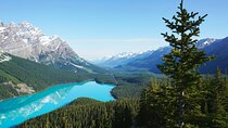 Banff Lake Louise Moraine, Emerald Glacier, Peyto & Bow Lake
