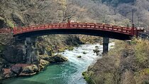 Nikko Full-Day Private Tour from Tokyo Return by Bullet Train